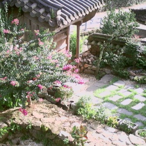 south korea - seoul: garden webcam in seoul