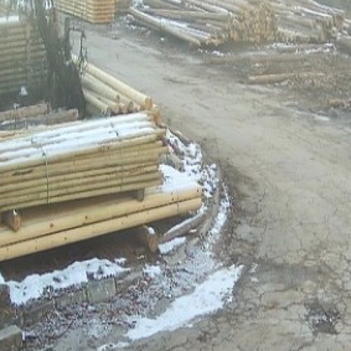 bulgaria - pazardzhik: wood factory niksic pazardzhik