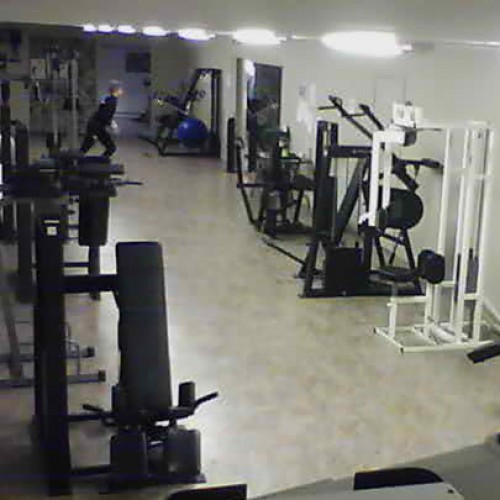 sweden - djuras: gym workout