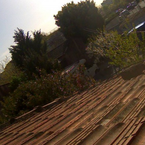 france - vaison-la-romaine: vaison-la-romaine roof view