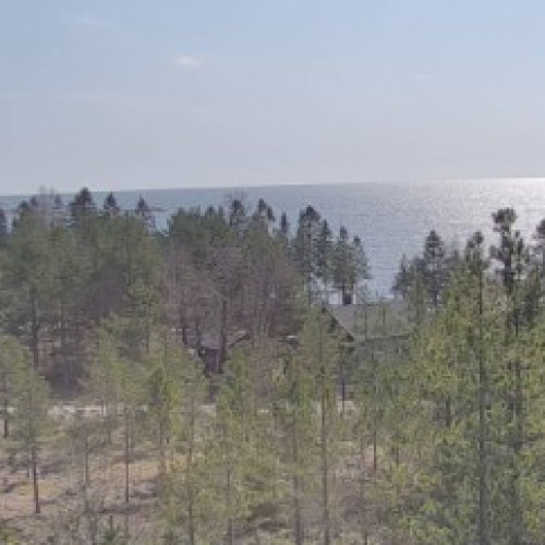 sweden - stockholm: forest and sea view