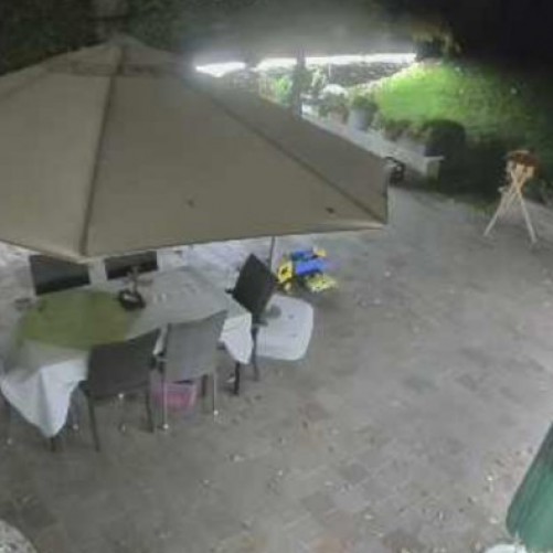russian federation - moscow: garden view cam moscow