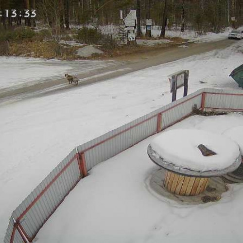 russian federation - angarsk: live webcam view angarsk