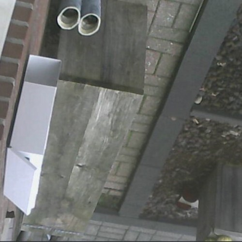 netherlands - amsterdam: securtity webcam view house in amsterdam
