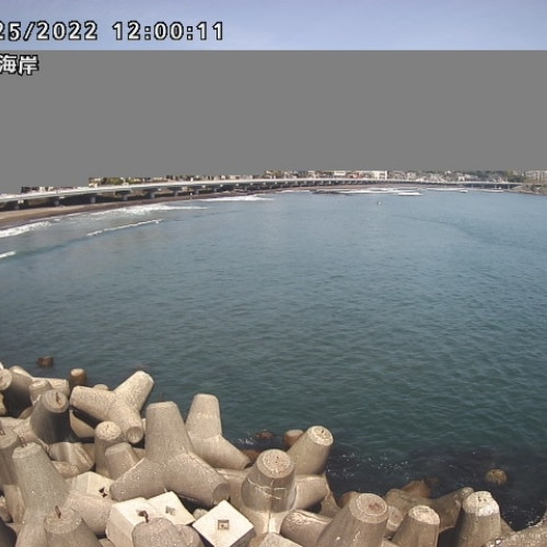 japan - kashima: live view in kashima