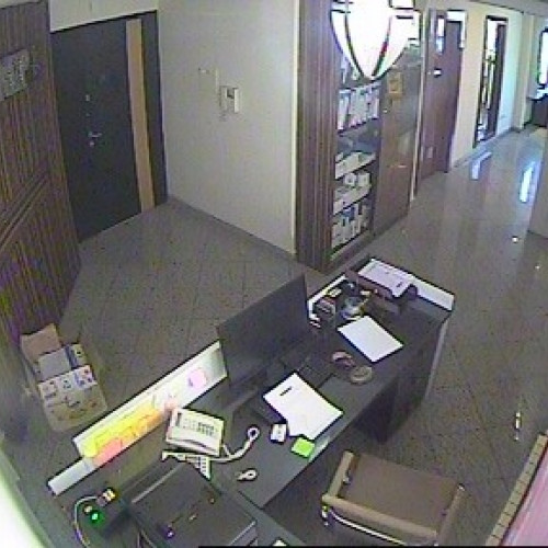 preview: IP camera - Tehran