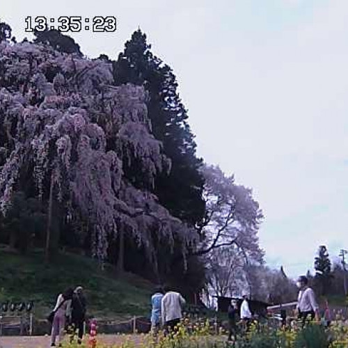 japan - iwaki: live cam view iwaki