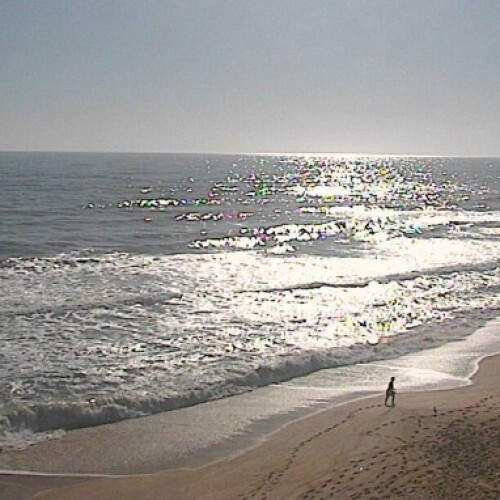 preview: Orlando beach view