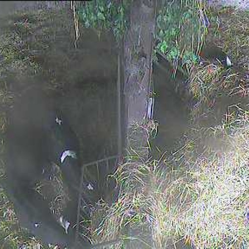 ireland - cill airne: live cam view cill airne