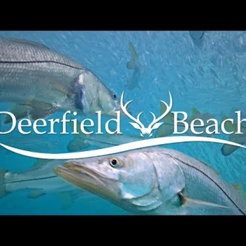 united states - deerfield beach: deerfield beach pier - underwater