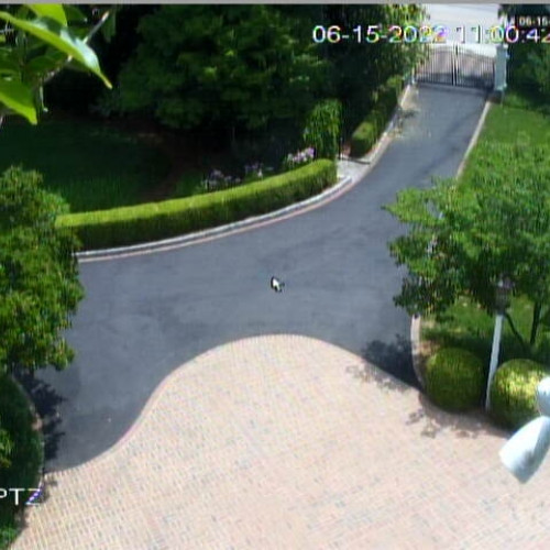 united states - raleigh: live webcam  in raleigh