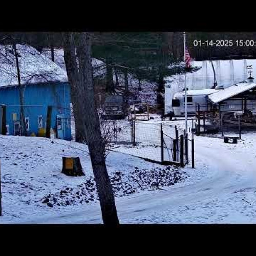 Watch Goldy's Farm Animal Sanctuary Live Stream live webcam in ...