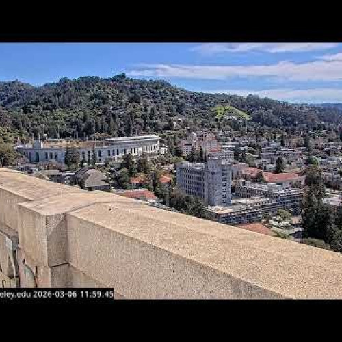 Berkeley Skyline & Falcon Nest Live Cam