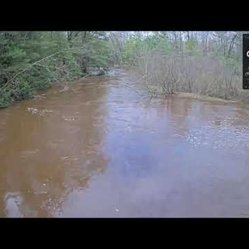 Walhalla River Scene At Barothy Lodge