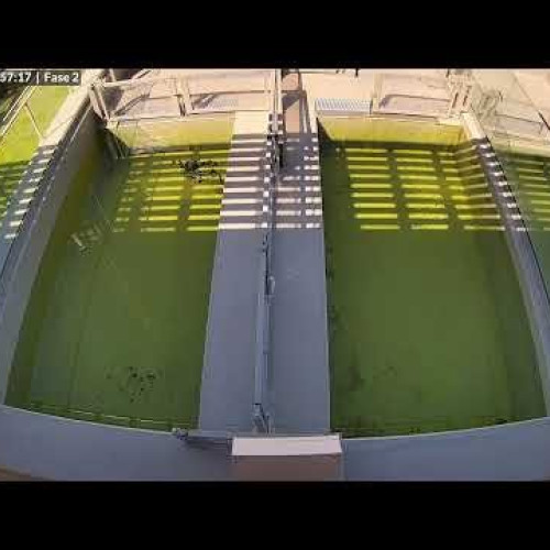 Seal Rehabilitation Center Phase 2 Live Cam