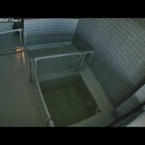 Seal Rehabilitation Center Phase 1 Live Cam - Lauwersoog, Netherlands
