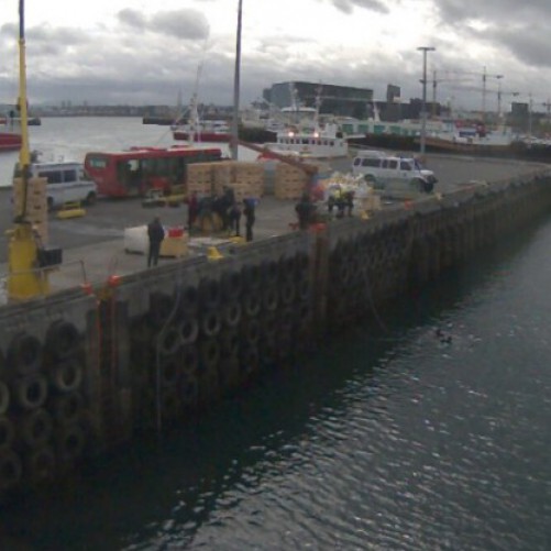 iceland - reykjavik: live reykjavik harbour shipbrokers ltd