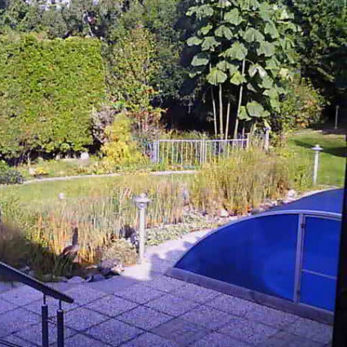 austria - vitis: garden and swimming pool in vitis