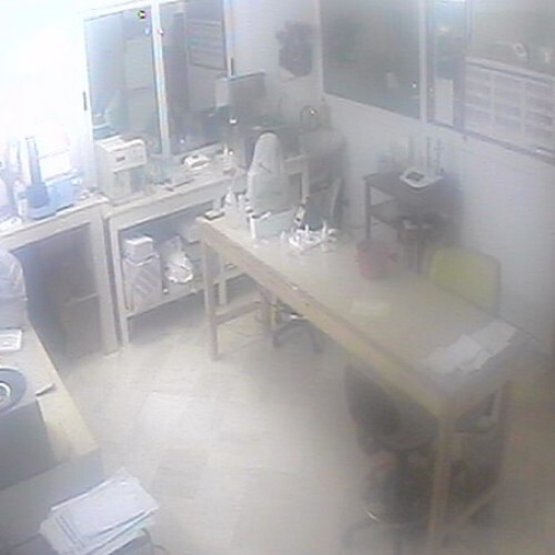 tunisia - tunis: office desks in tunis