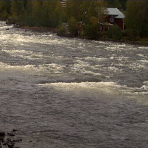 sweden - vindeln: renforsen river