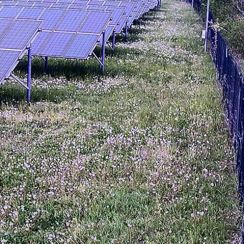 italy - torino: solar panels torino