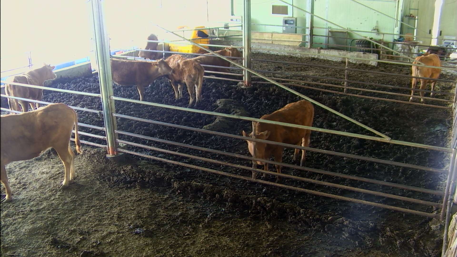 preview: IP camera - Seoul