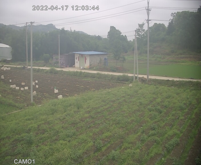 preview: IP camera - Qinzhou