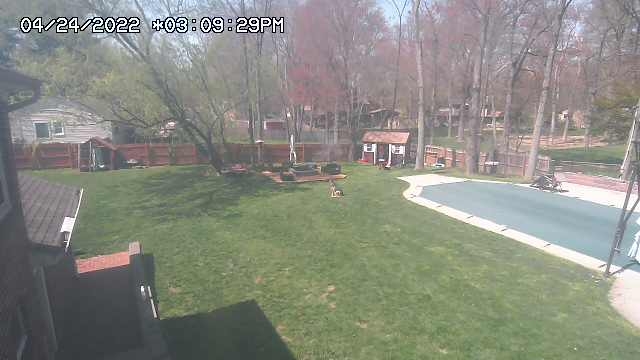 preview: IP camera - Morristown
