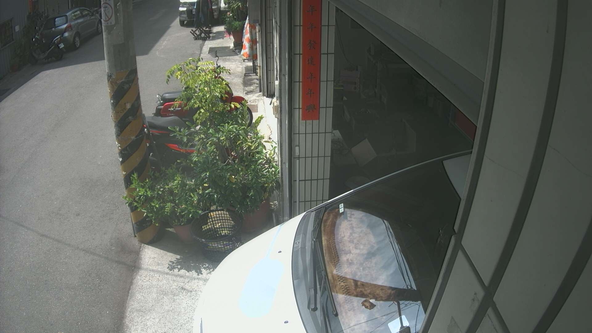 preview: IP camera - Taipei