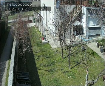preview: IP camera - Nyirpazony