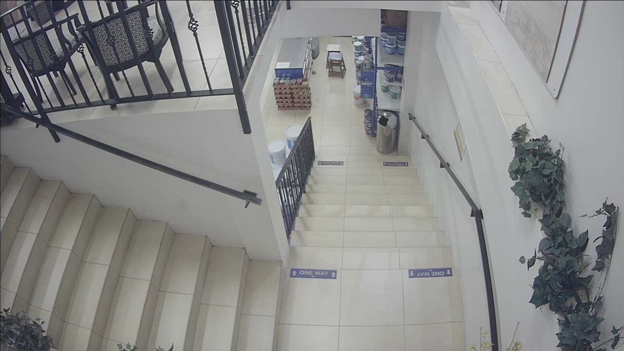 preview: live webcam  in Kingston