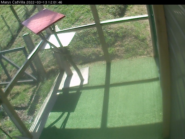 preview: a webcam in Auckland