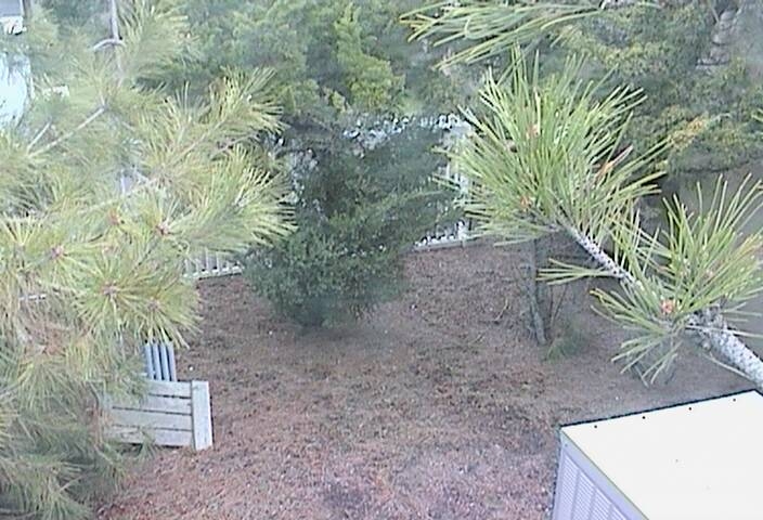 preview: live cam view East Quogue