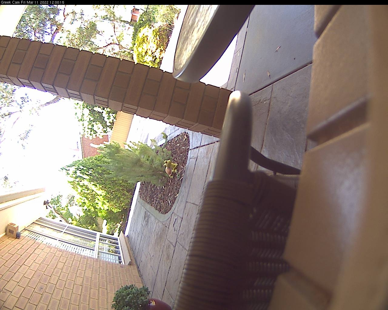 preview: IP camera - Adelaide