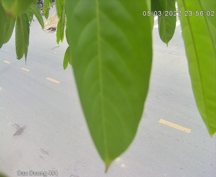 preview: IP camera - Hanoi