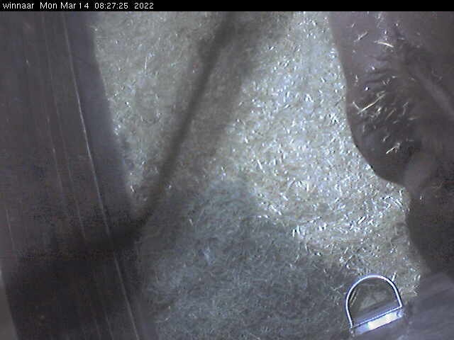 preview: webcam view in Pocatello