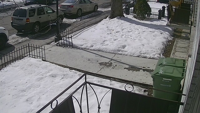 preview: IP camera - Montreal