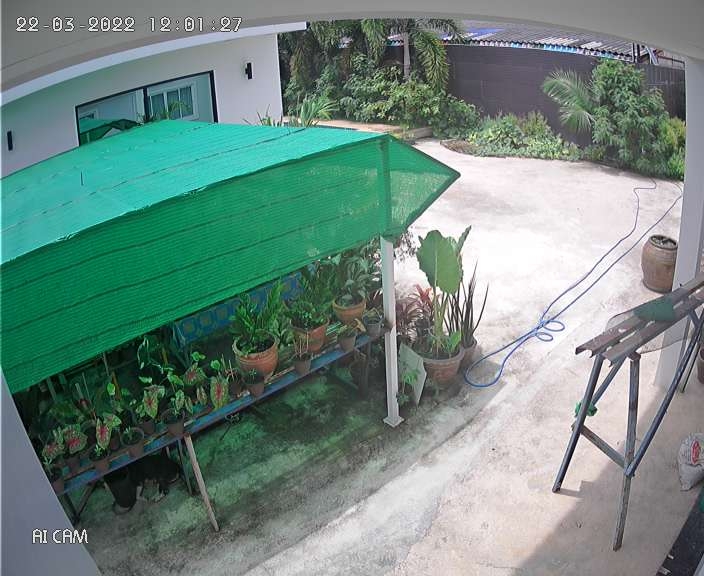 preview: webcam view in Bang Yai