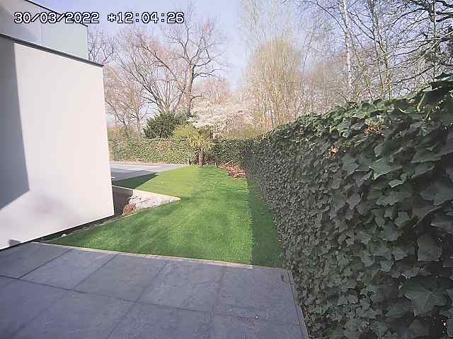preview: live cam view Zwolle