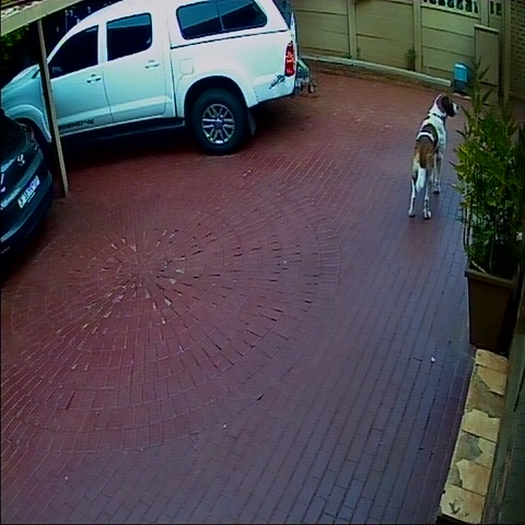 preview: IP camera - Cape Town