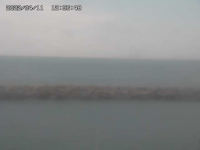 preview: live webcam  in Odawara