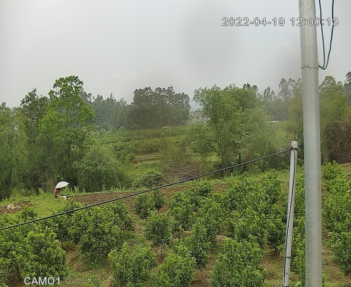 preview: online webcam  in Guilin