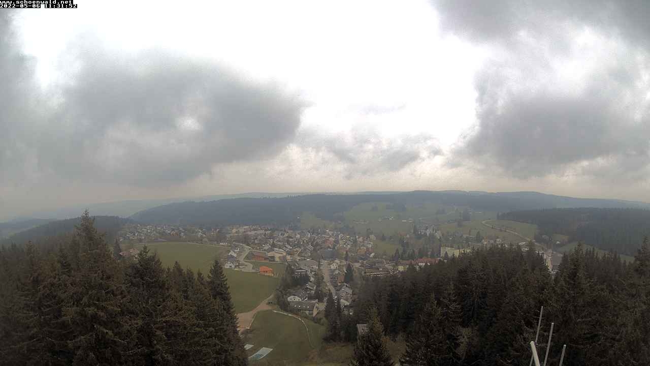 preview: live cam view Schwarzwald