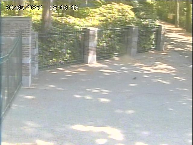 preview: IP camera - Brussels