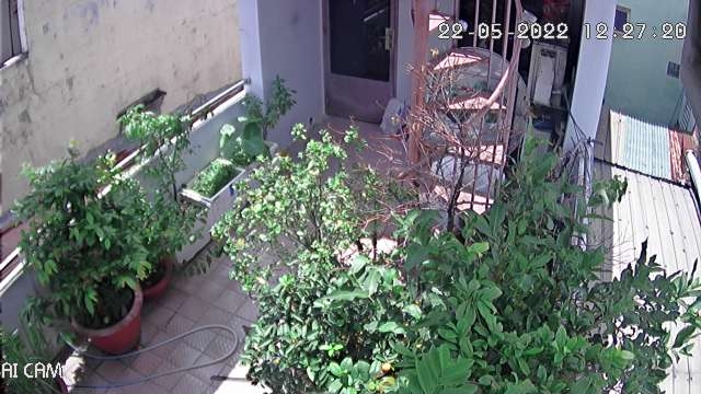 preview: IP camera - Hanoi