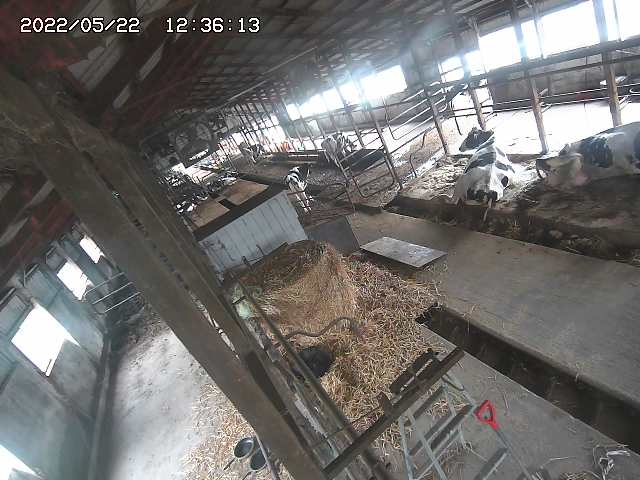 preview: IP camera - Tokyo