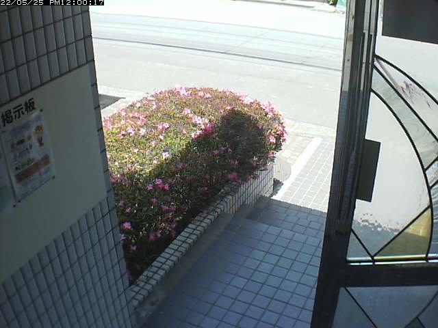 preview: a webcam in Maebashi