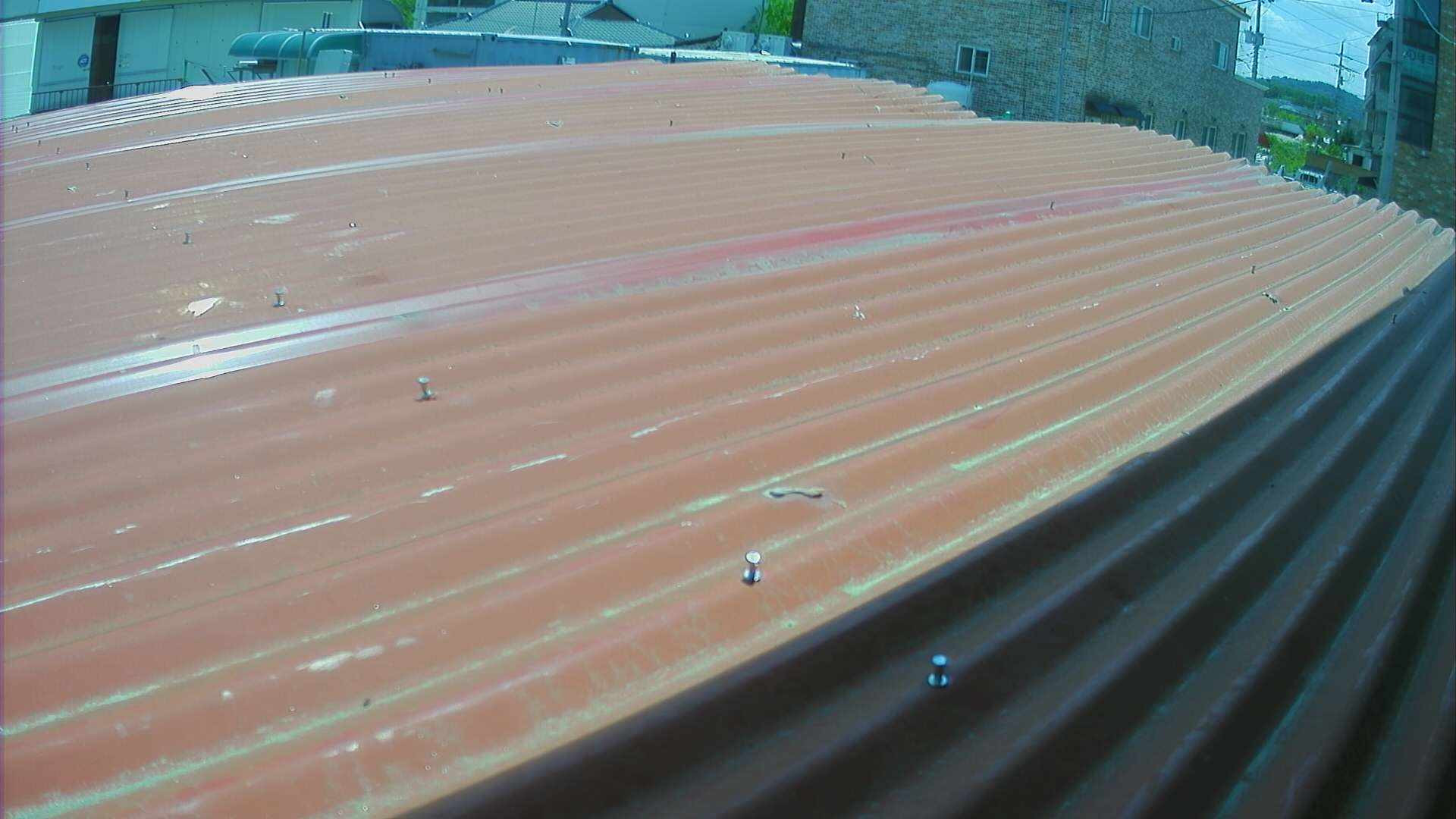 preview: Tyundyu live roof webcam