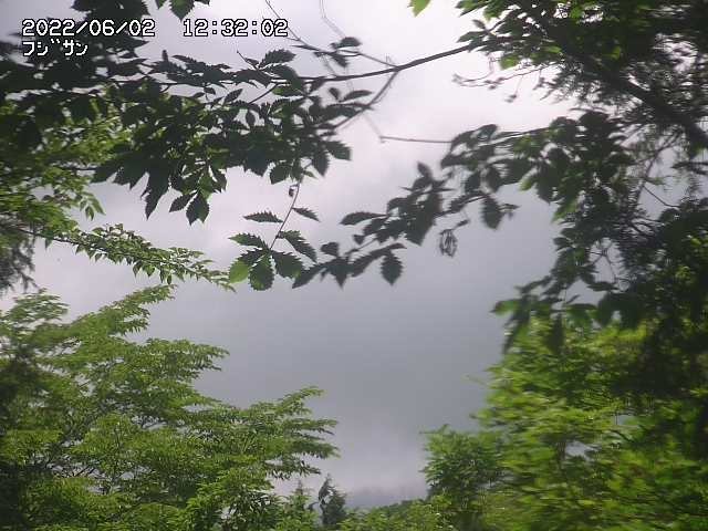 preview: live webcam view Hamamatsu