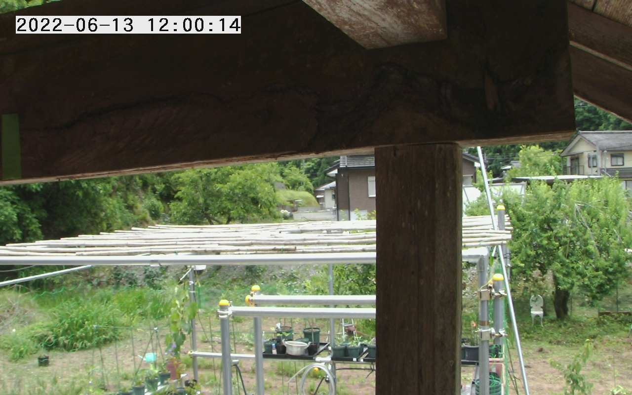 preview: IP camera - Tokyo